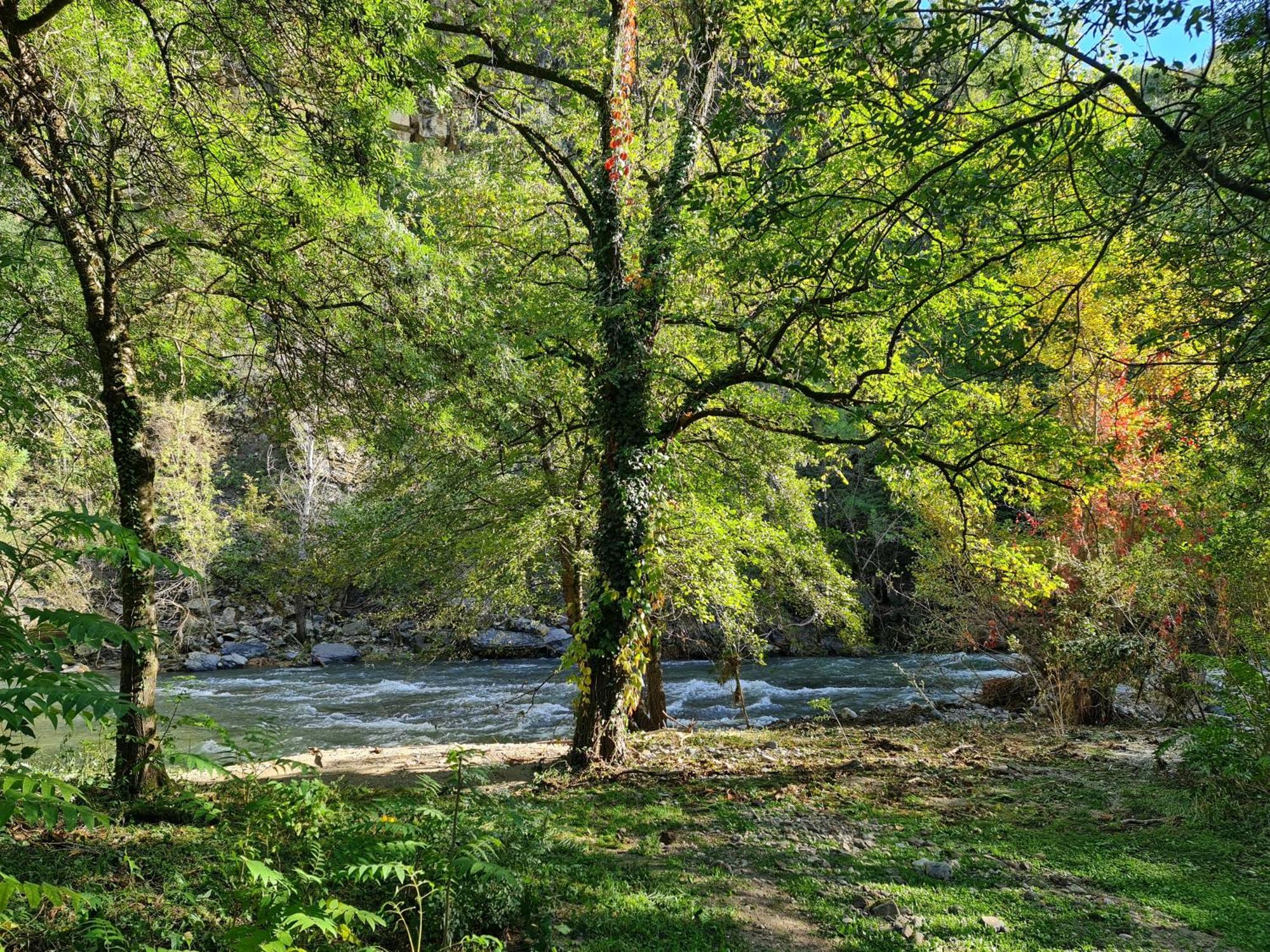 Le Moulin D'Onclaire Camping Et Chambres D'Hotes Coux Buitenkant foto